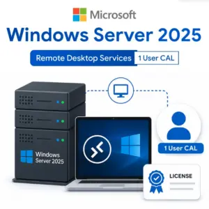 Microsoft Windows Server 2025 Remote Desktop Services - 1 Device CAL