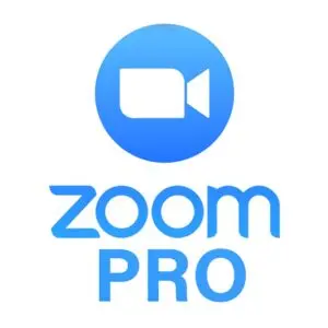 Dịch vụ trực tuyến Zoom Workplace Pro 300 participants - Gói 1 năm (Domain)