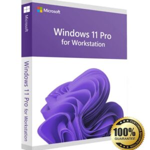 Microsoft Win 11 Pro for Workstation 64Bit Eng Intl 1pk DSP OEI DVD (HZV-)